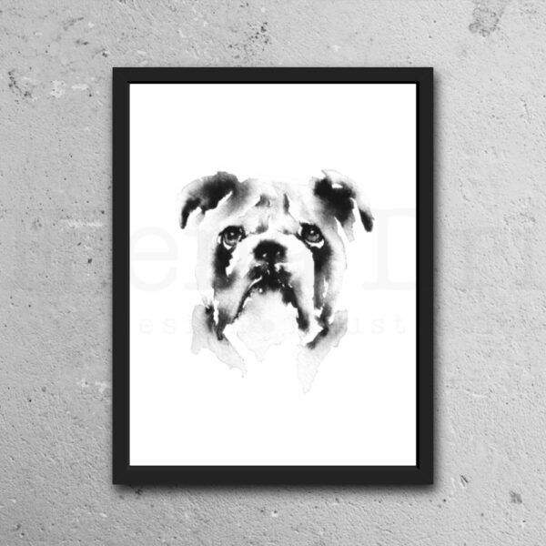 Bulldog Portrait - Image 4