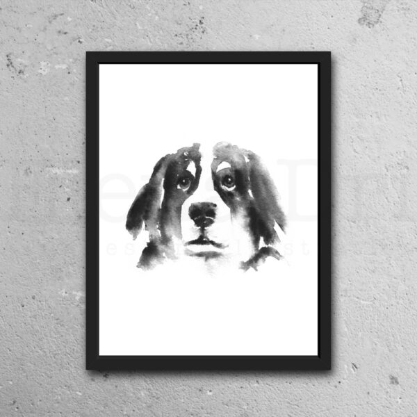 Bernese Mountain Dog Portrait - Image 3