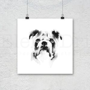 Bulldog Portrait
