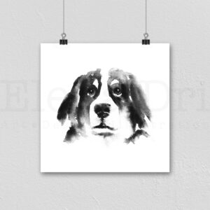 Bernese Mountain Dog Portrait