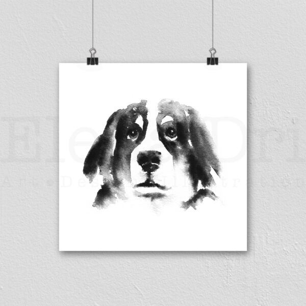 Bernese Mountain Dog Portrait