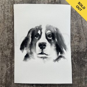 Bernese Mountain Dog Portrait