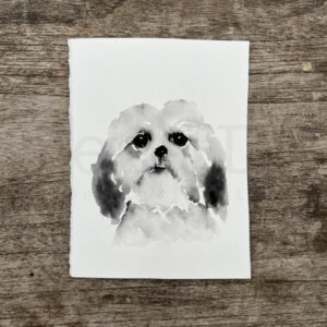 Shih tzu Portrait