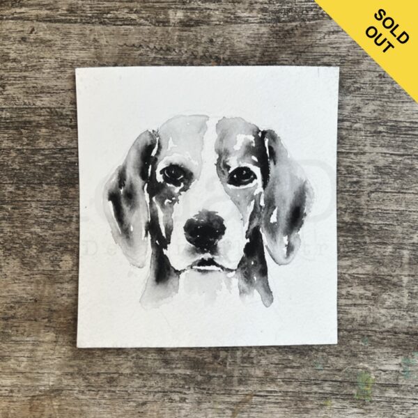 Beagle Portrait