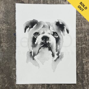 Bulldog Portrait