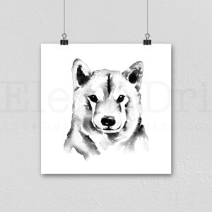 Shiba Inu Portrait