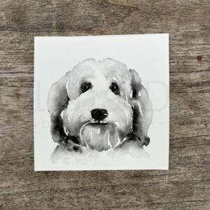 Labradoodle Portrait
