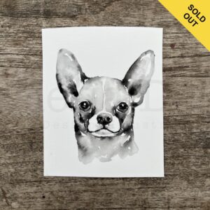 Chihuahua Portrait