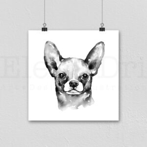 Chihuahua Portrait