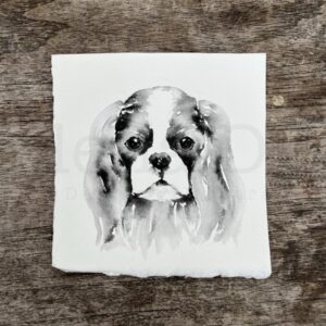 Cavalier King Charles Spaniel Portrait