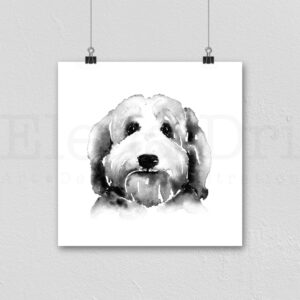 Labradoodle Portrait
