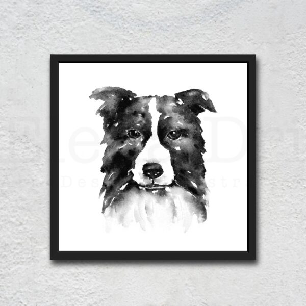Border Collie Portrait - Image 3