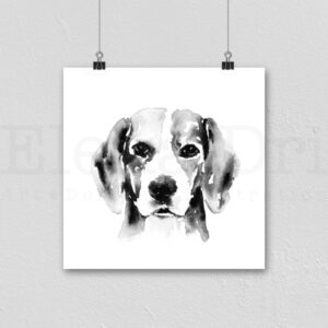 Beagle Portrait