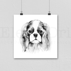 Cavalier King Charles Spaniel Portrait