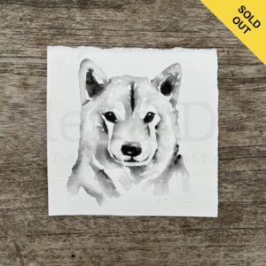 Shiba Inu Portrait