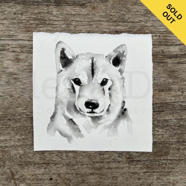 Shiba Inu Portrait